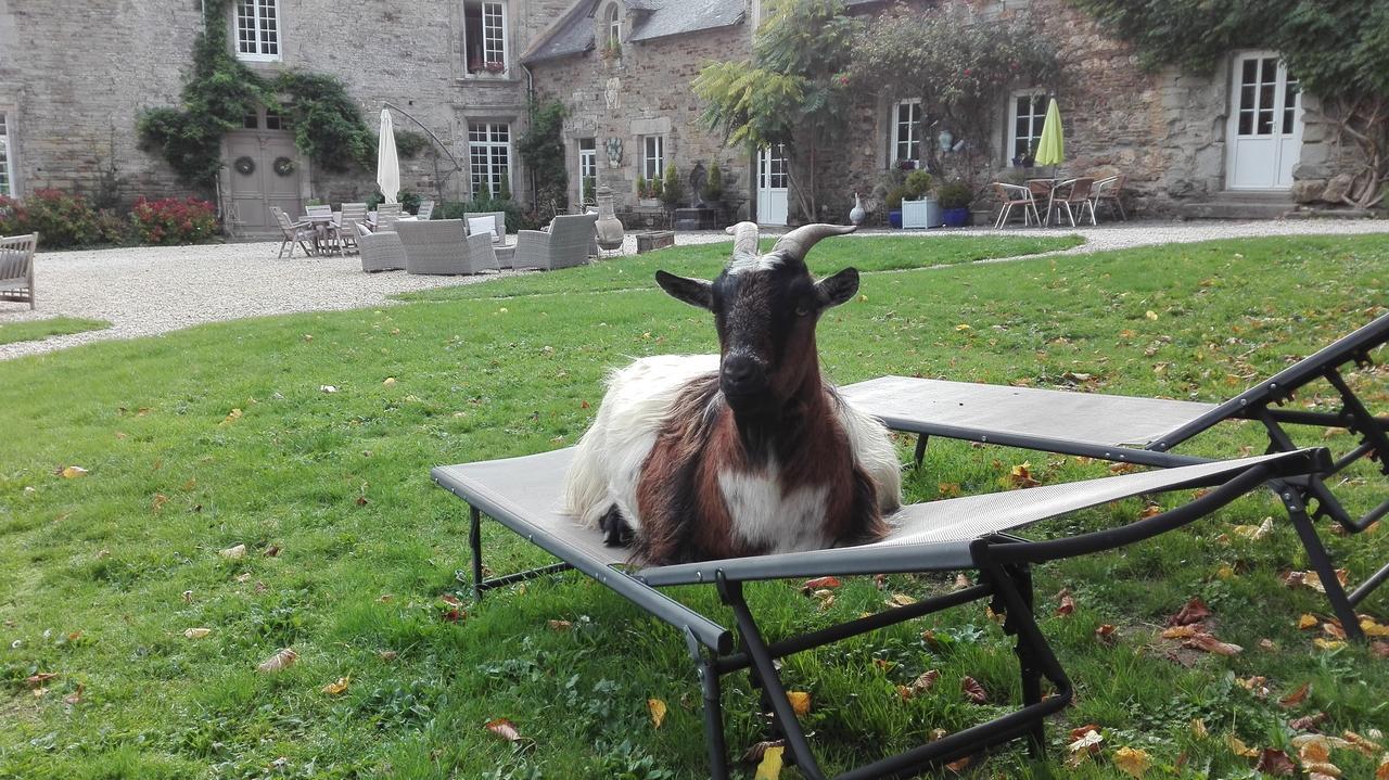 Manoir Du Quengo Bed & Breakfast Rohan Bagian luar foto